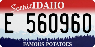 ID license plate E560960
