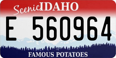 ID license plate E560964
