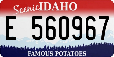 ID license plate E560967