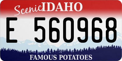 ID license plate E560968