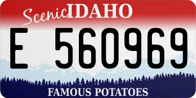 ID license plate E560969