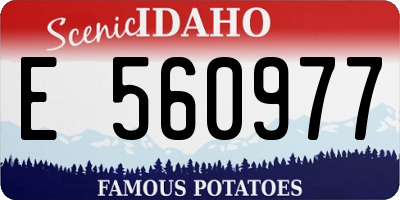 ID license plate E560977