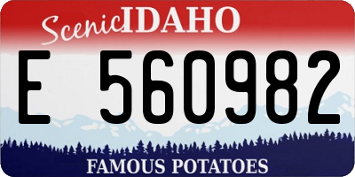 ID license plate E560982