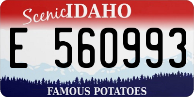 ID license plate E560993