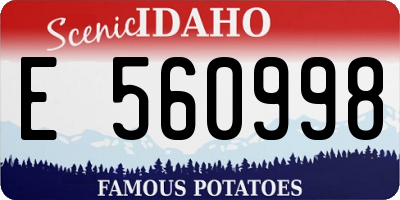 ID license plate E560998