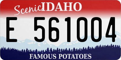 ID license plate E561004