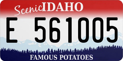 ID license plate E561005