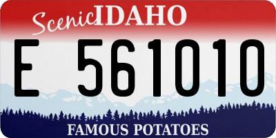 ID license plate E561010
