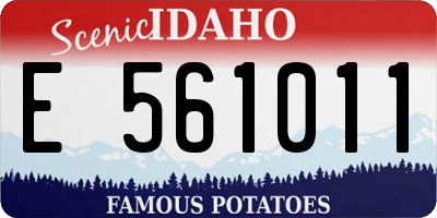 ID license plate E561011