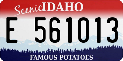 ID license plate E561013