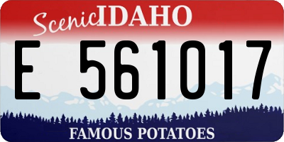 ID license plate E561017