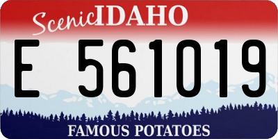 ID license plate E561019