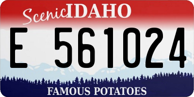 ID license plate E561024