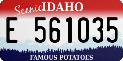 ID license plate E561035