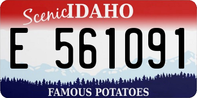 ID license plate E561091