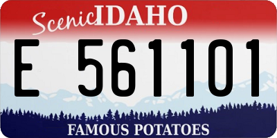 ID license plate E561101