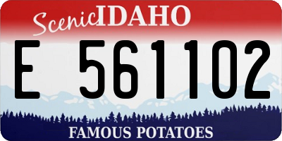 ID license plate E561102