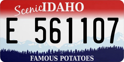 ID license plate E561107