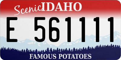 ID license plate E561111