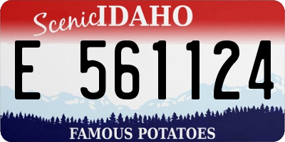 ID license plate E561124
