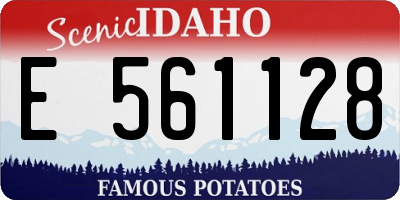 ID license plate E561128