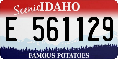 ID license plate E561129