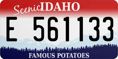 ID license plate E561133