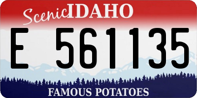 ID license plate E561135