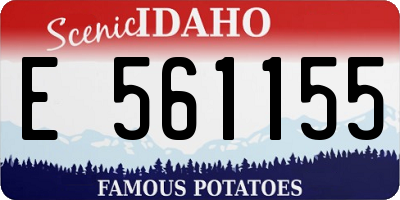ID license plate E561155