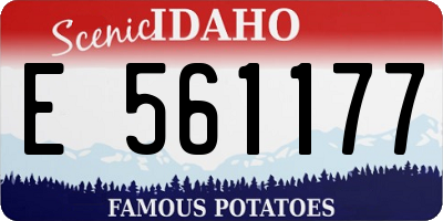ID license plate E561177