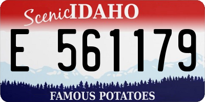 ID license plate E561179