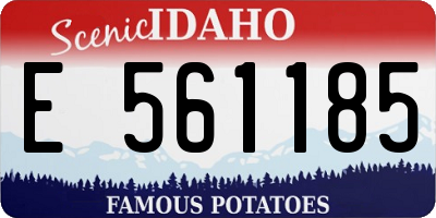 ID license plate E561185
