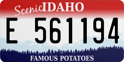 ID license plate E561194