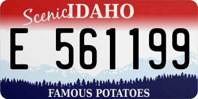 ID license plate E561199