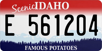 ID license plate E561204