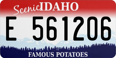 ID license plate E561206