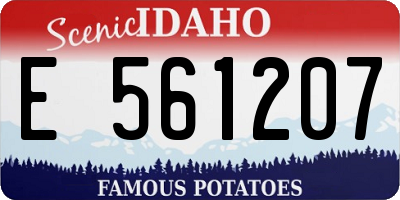 ID license plate E561207