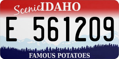 ID license plate E561209