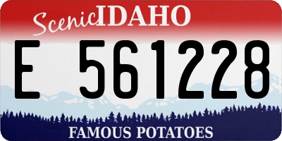 ID license plate E561228
