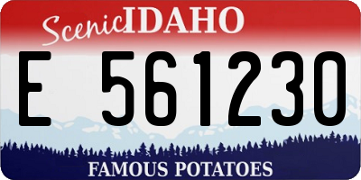 ID license plate E561230