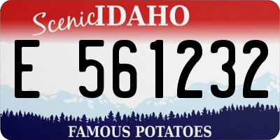 ID license plate E561232