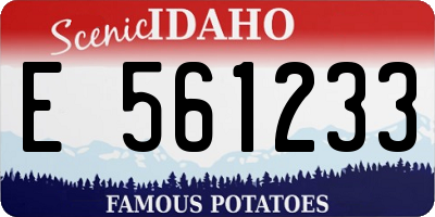 ID license plate E561233