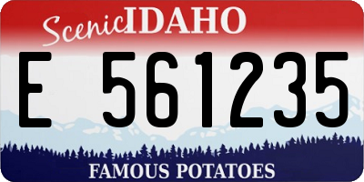 ID license plate E561235