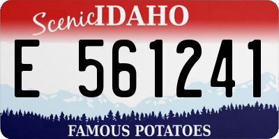 ID license plate E561241