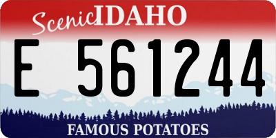 ID license plate E561244