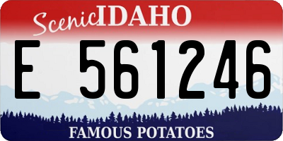 ID license plate E561246