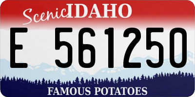 ID license plate E561250