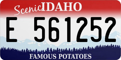 ID license plate E561252