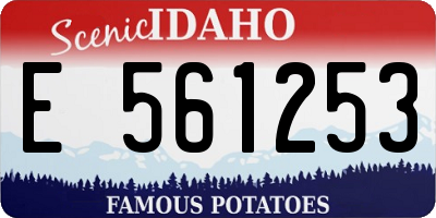ID license plate E561253