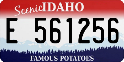 ID license plate E561256
